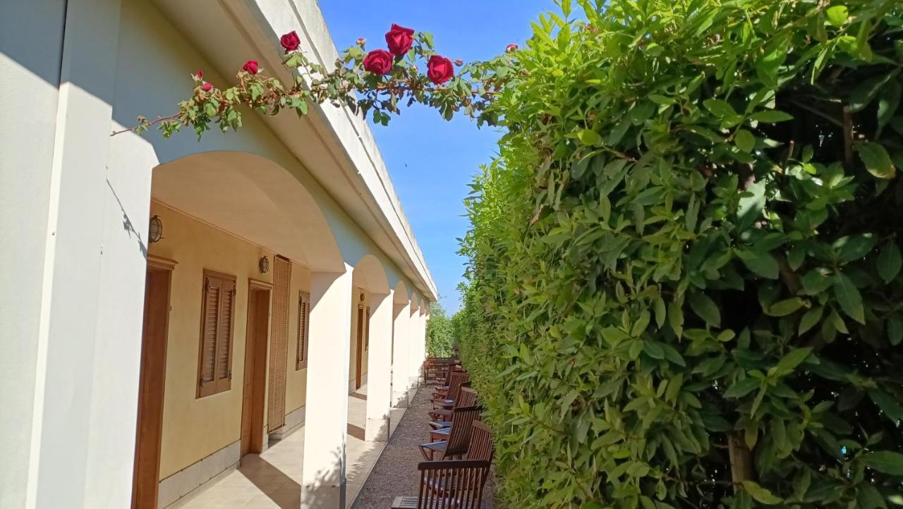 Agriturismo Le Vedute Бишелие Екстериор снимка