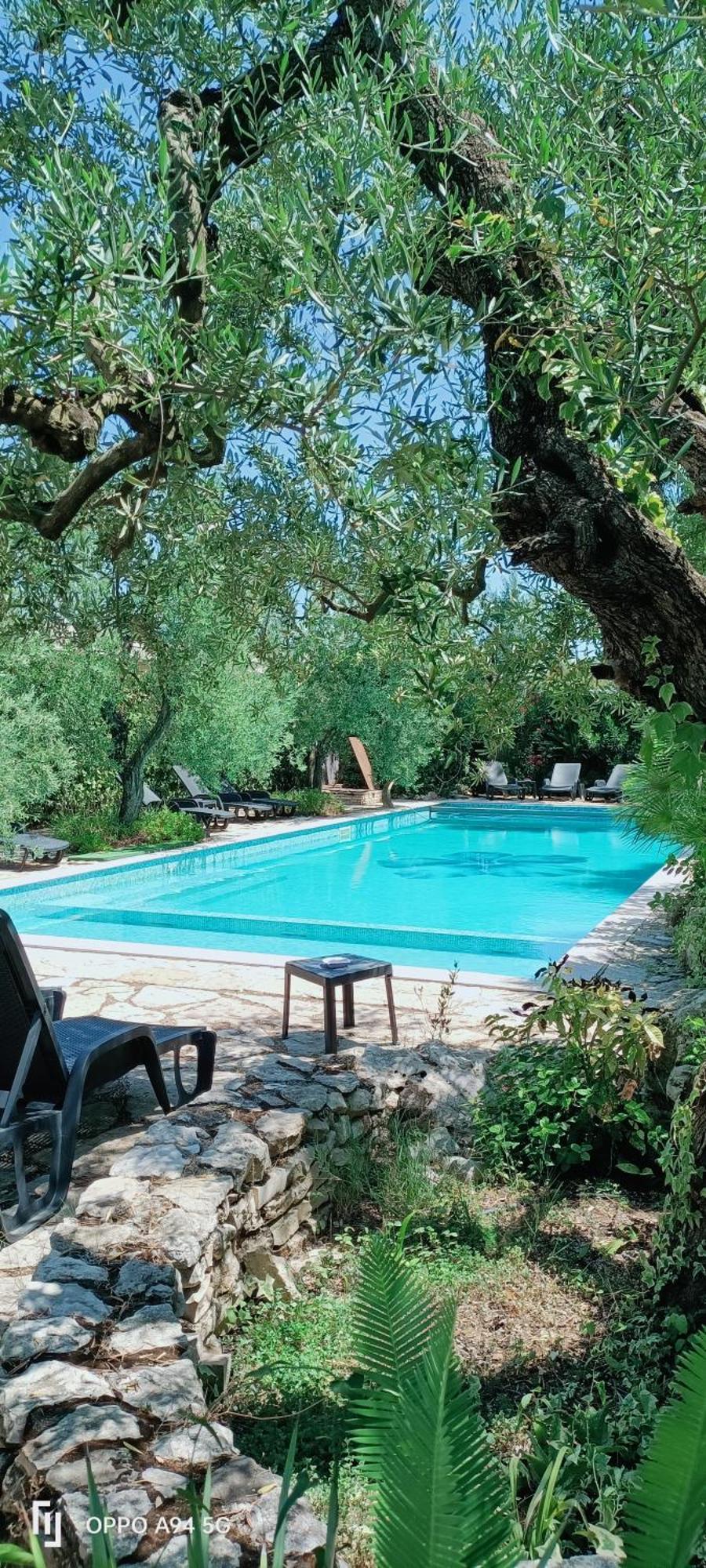 Agriturismo Le Vedute Бишелие Екстериор снимка