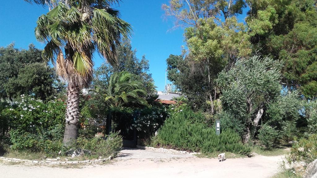 Agriturismo Le Vedute Бишелие Екстериор снимка